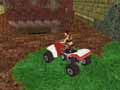Quad Runner in India